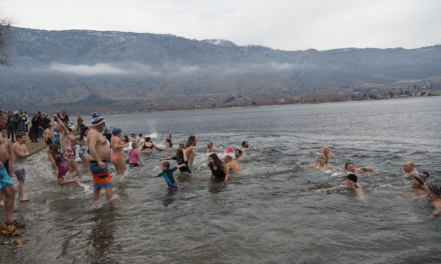 Desert Dip draws a crowd as dippers brave the cold