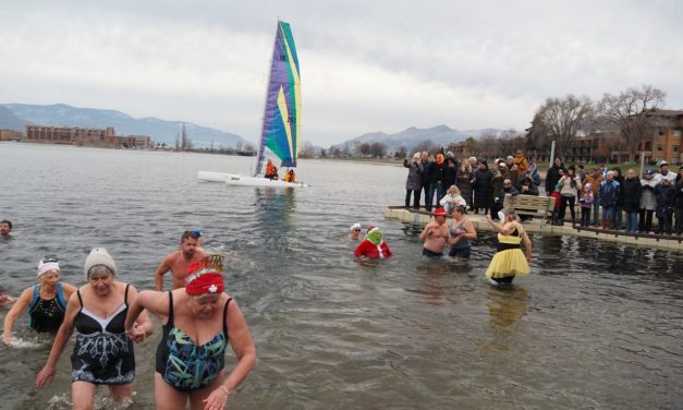 Desert Dip draws a crowd as dippers brave the cold