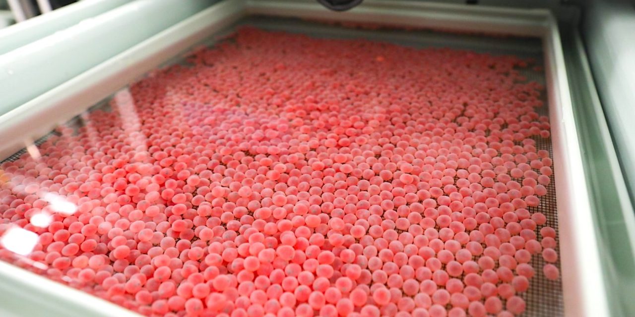 Across a colonial border, First Nations share salmon eggs