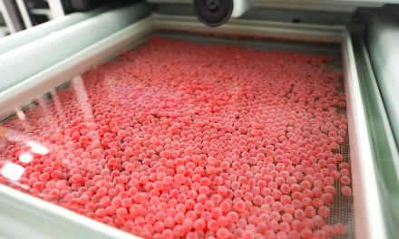 Across a colonial border, First Nations share salmon eggs