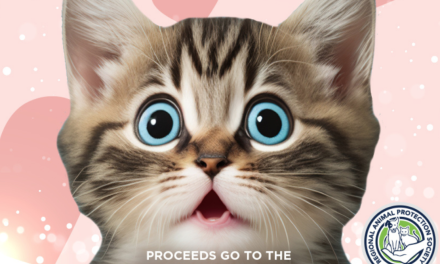 Neuter your ex for Valentine’s Day