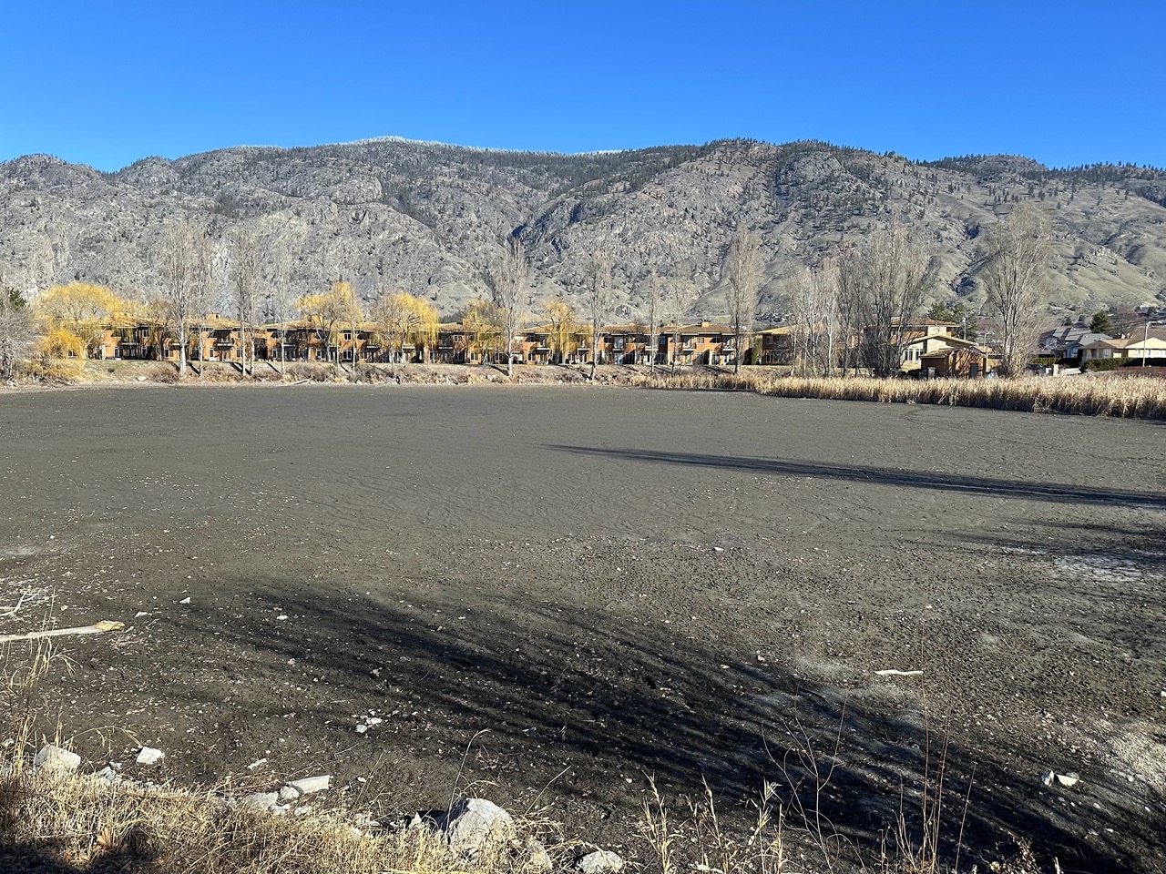 cottonwood park lagoon