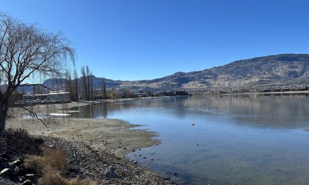 Okanagan drought likely as snowpack lowest since 1980
