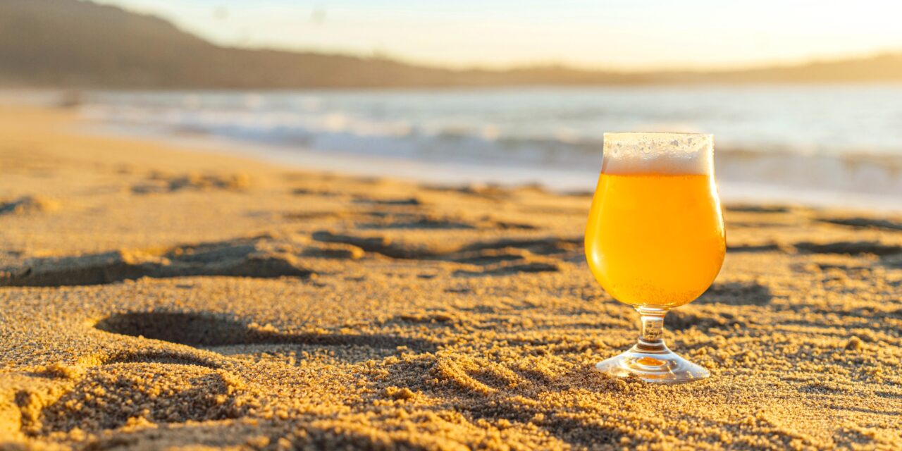Council buzz kill bans booze on the beach