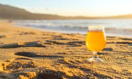 Council buzz kill bans booze on the beach