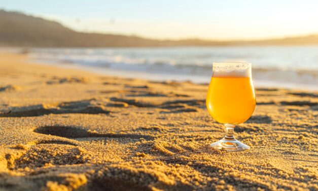 Council buzz kill bans booze on the beach
