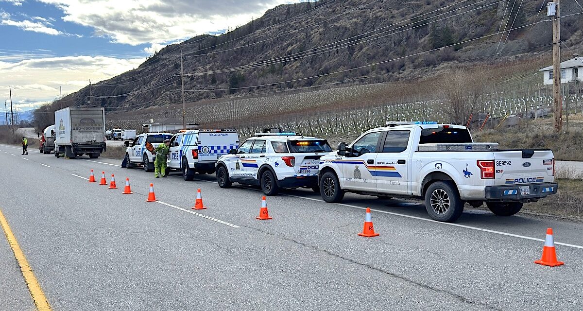 Road check sees 15 trucks removed from service