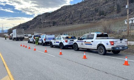 Road check sees 15 trucks removed from service