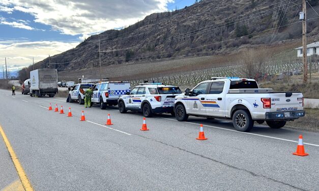 Road check sees 15 trucks removed from service
