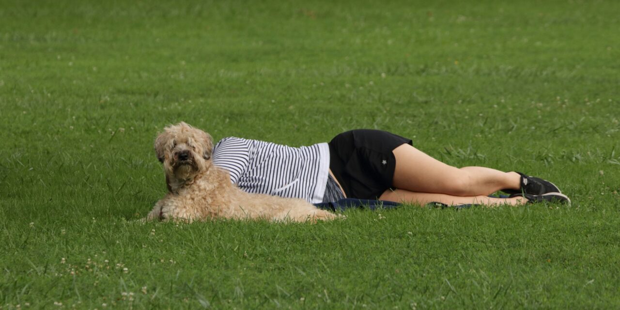 Dogs to be allowed in Osoyoos parks year-round