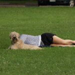 Dogs to be allowed in Osoyoos parks year-round
