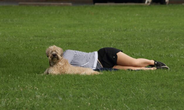 Dogs to be allowed in Osoyoos parks year-round