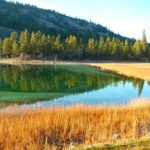 Little apparent progress on proposed National Park Reserve