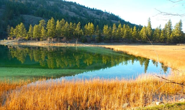 Little apparent progress on proposed National Park Reserve