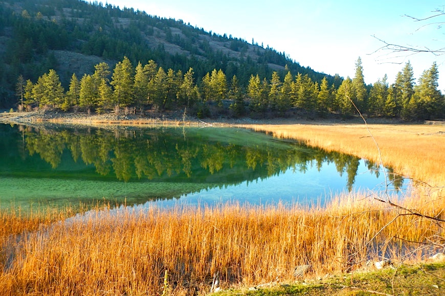 Little apparent progress on proposed National Park Reserve