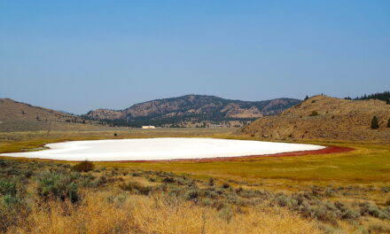 White Lake Grasslands to get ecosystem and wildfire help