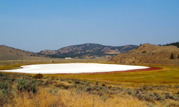 White Lake Grasslands to get ecosystem and wildfire help