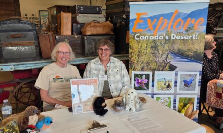 Come one, come all: Osoyoos Volunteer Fair returns