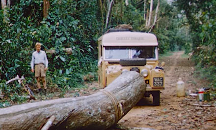 Join Robert Bateman, Bristol Foster for ‘Movie and an Expert’