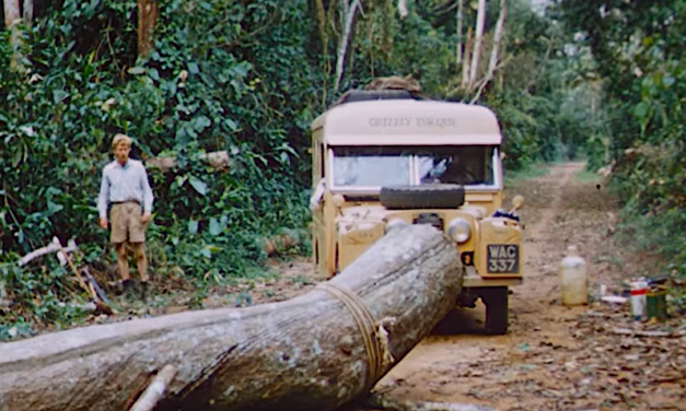 Join Robert Bateman, Bristol Foster for ‘Movie and an Expert’