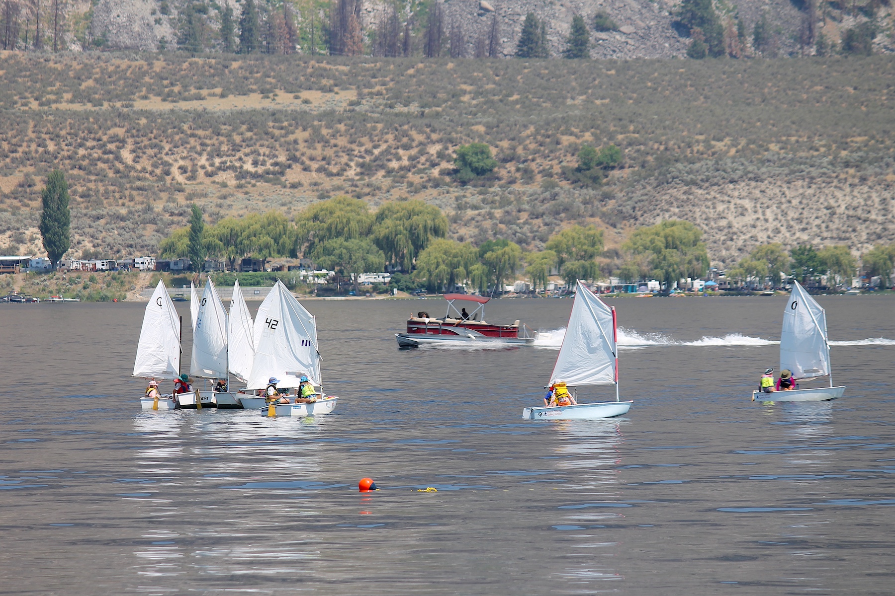 sailing club optimist
