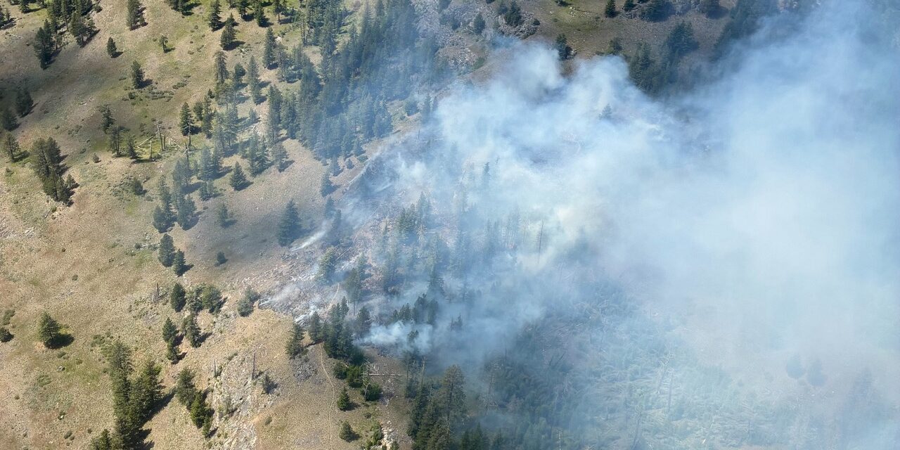 Wildfires pick up pace on back of hot dry weather