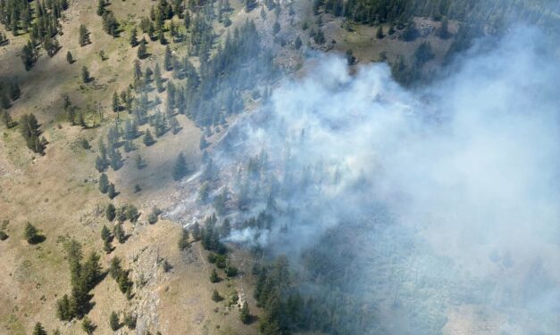 Wildfires pick up pace on back of hot dry weather