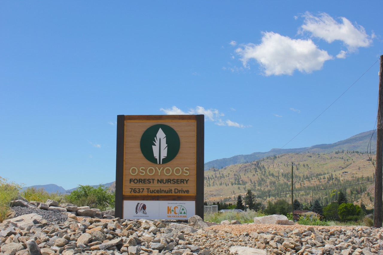 Osoyoos Forest Nursery (OFN)