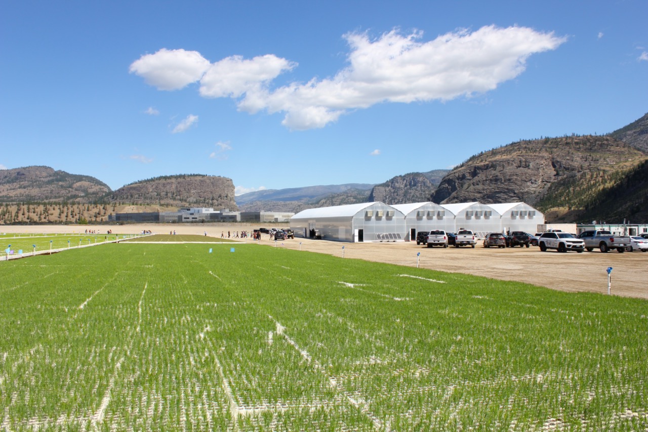 Osoyoos Forest Nursery (OFN)
