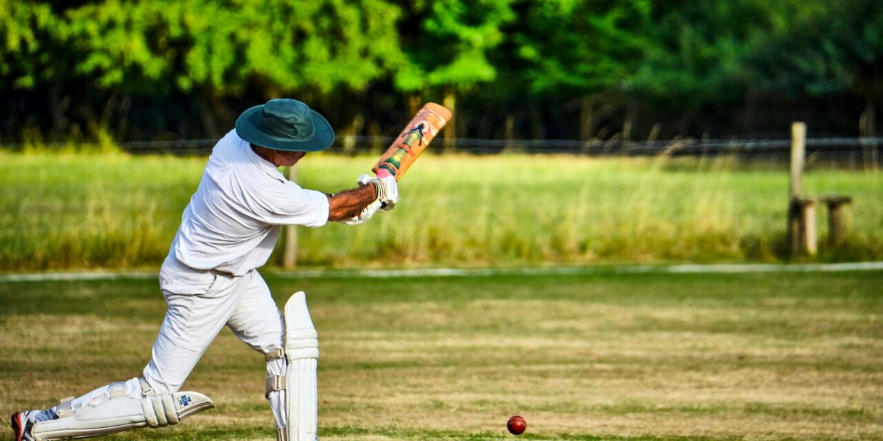 Game on for cricket in Osoyoos as council approves Desert Park retrofit