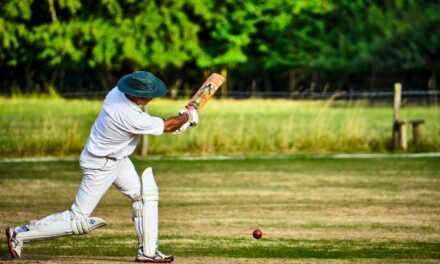Game on for cricket in Osoyoos as council approves Desert Park retrofit