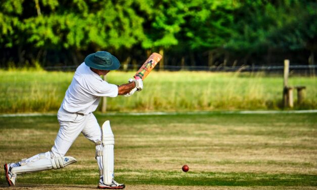 Game on for cricket in Osoyoos as council approves Desert Park retrofit