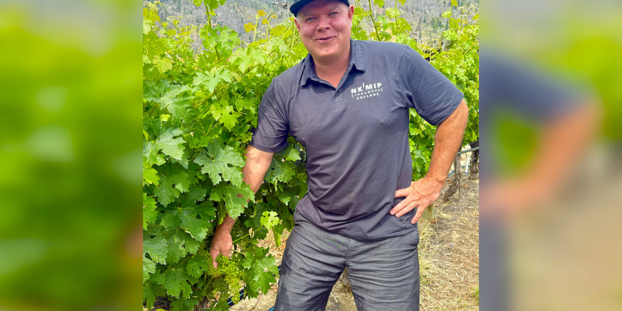 Fingers crossed for bountiful grape harvest (and less bears)