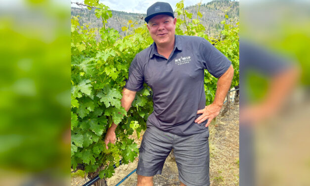 Fingers crossed for bountiful grape harvest (and less bears)