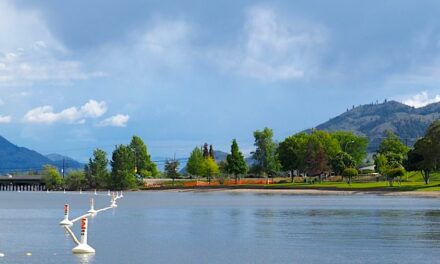 Progress made as Osoyoos filters water treatment options