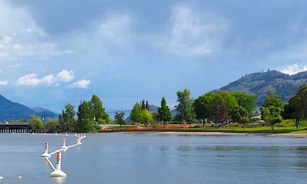 Progress made as Osoyoos filters water treatment options