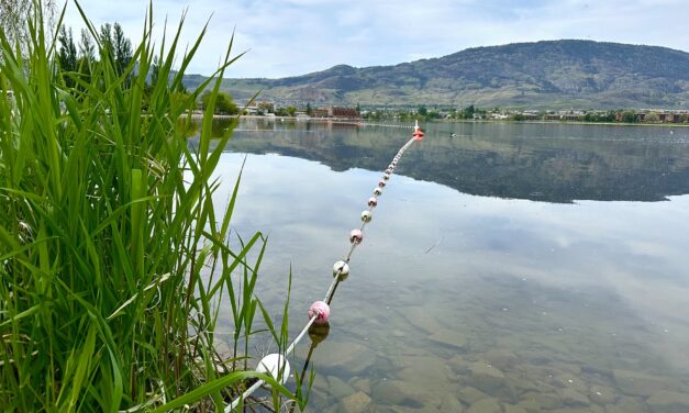 OCP, zoning changes in Osoyoos go to public hearing this month