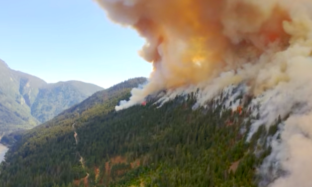 United Way BC launches wildfire donation appeal