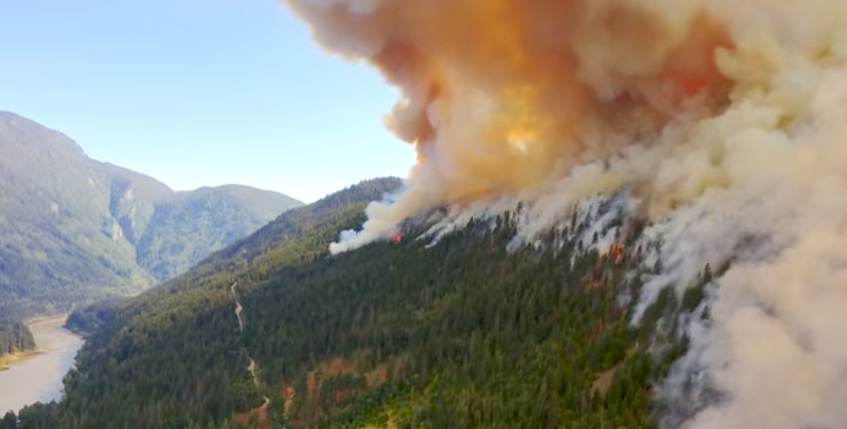 United Way BC launches wildfire donation appeal
