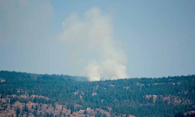 Anarchist wildfire sparks task force mutual aid request