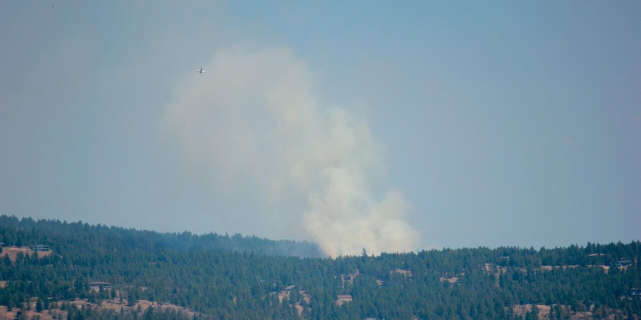Anarchist wildfire sparks task force request