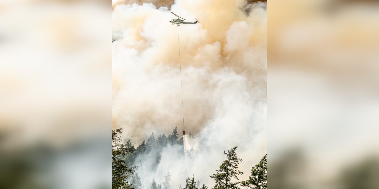 Campfire ban in effect for Kamloops Fire Centre