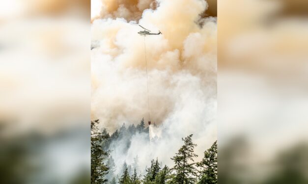 Campfire ban in effect for Kamloops Fire Centre
