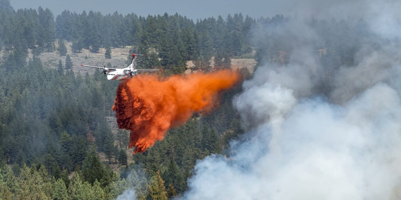 SOS Task Force, BCWS bring Anarchist fire to heel