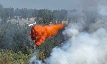 SOS Task Force, BCWS bring Anarchist fire to heel