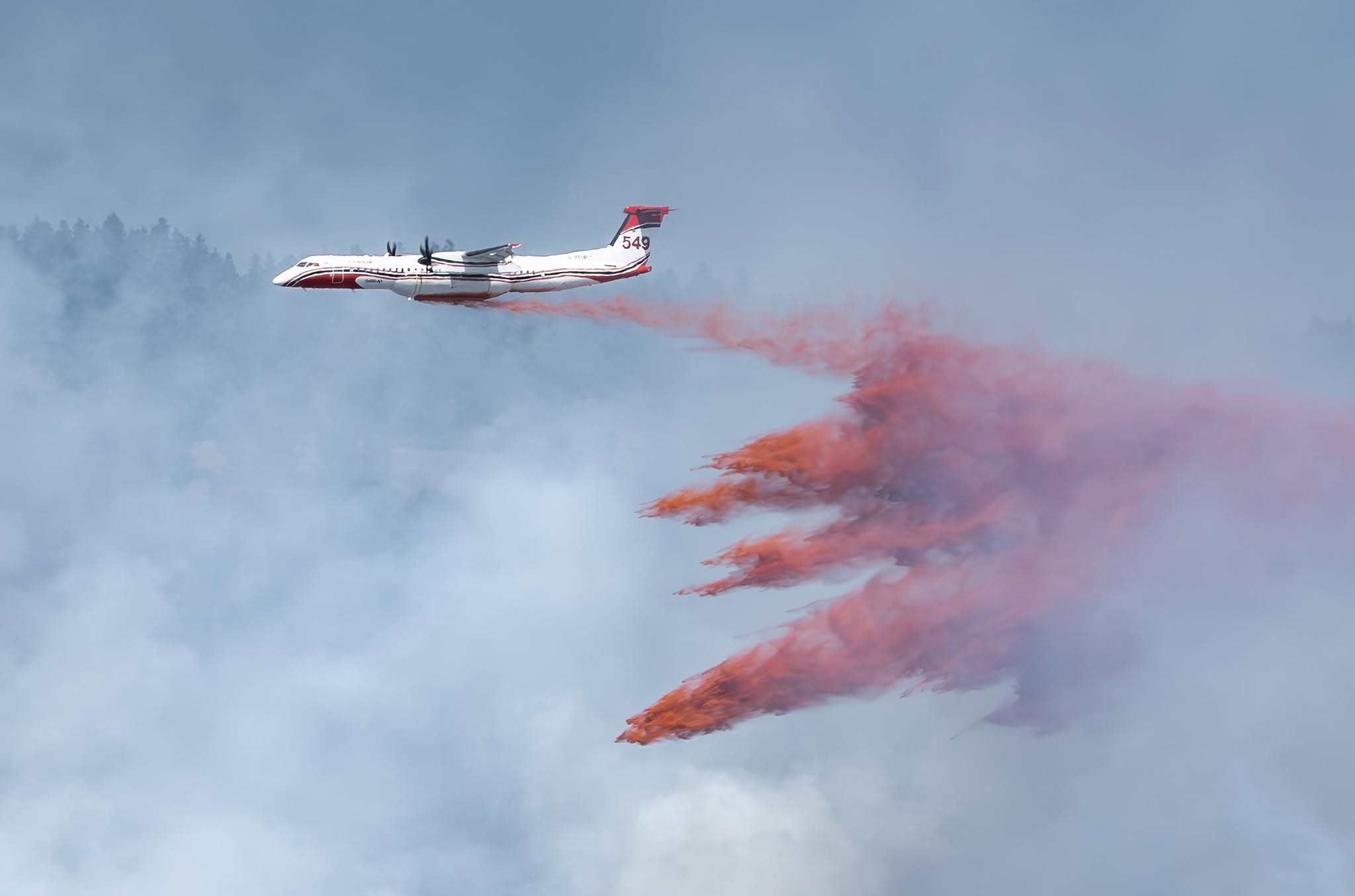 regal ridge fire - debra ceravolo photo3