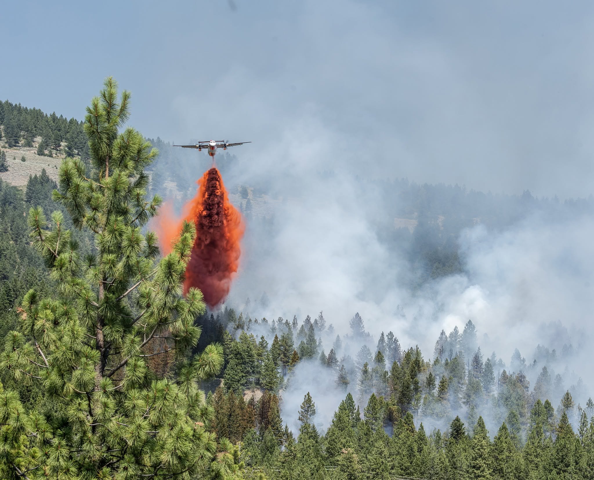 regal ridge fire - debra ceravolo photo6