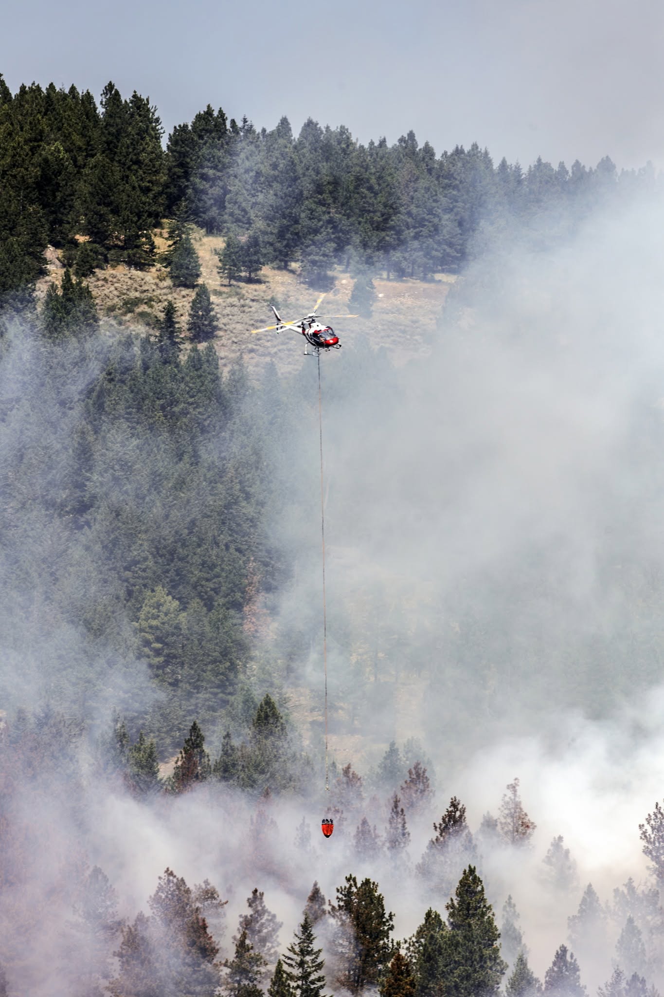 egal ridge fire - debra ceravolo photo9
