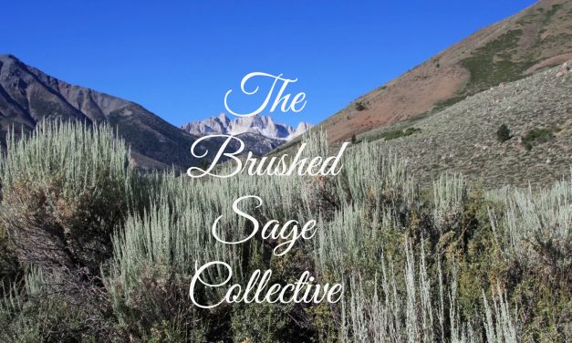 The Brushed Sage Collective