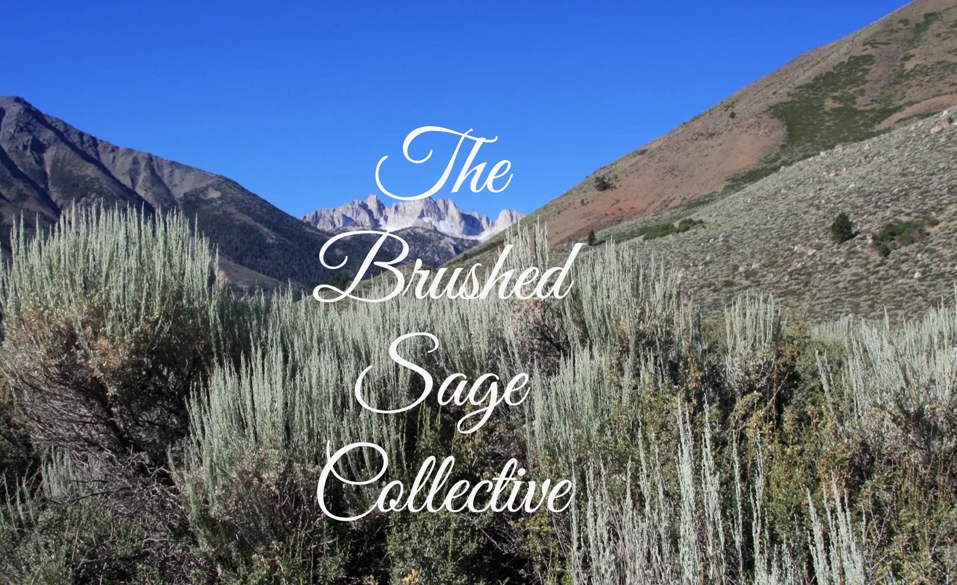 The Brushed Sage Collective